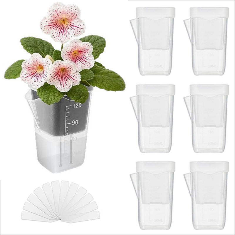 Self Watering Planter - 16/32 Pack Self-Watering Planters – Transparent