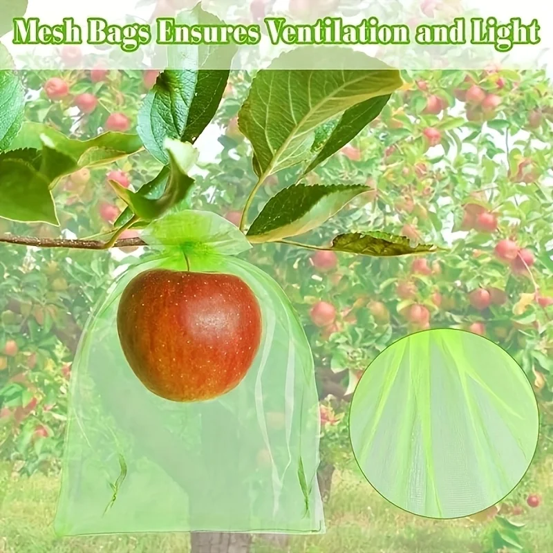 100Pcs Green Protective Bag wi - огляд і ціна Grow Bag