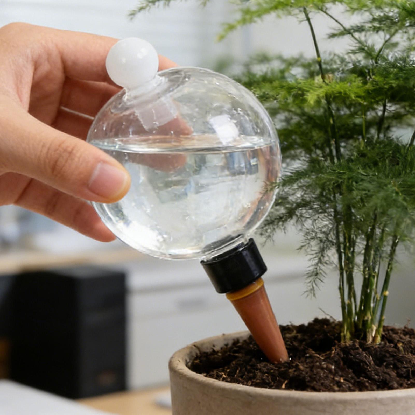 Plant Watering Bulbs 4pcs 500m - огляд і ціна Self Watering Planter