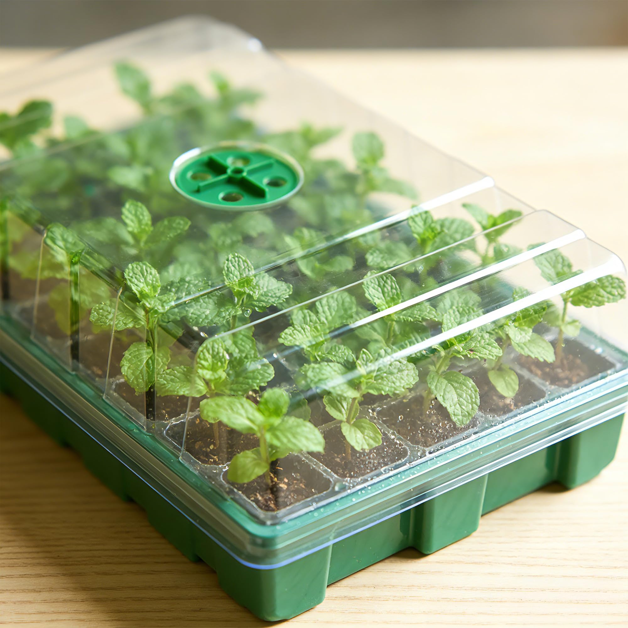 With Transparent Cover Greenho - огляд і ціна Seed Starter Tray