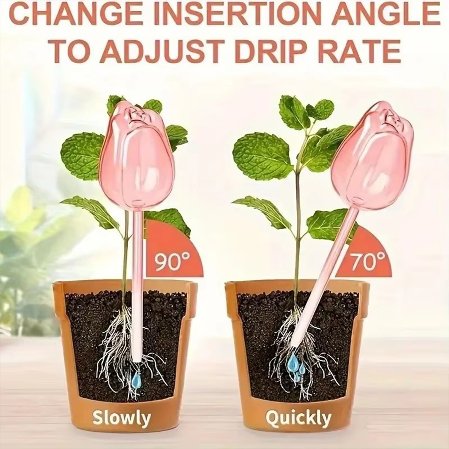 Transparent Thick PET Tulip Sh - огляд і ціна Indoor Herb Garden