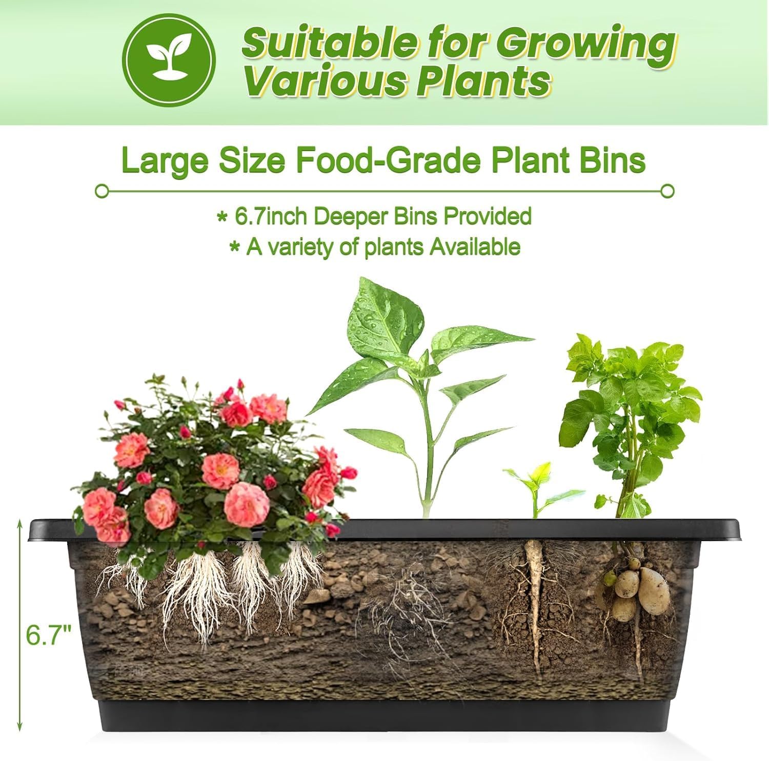 Vertical Raised Garden Bed Wit - огляд і ціна Indoor Herb Garden