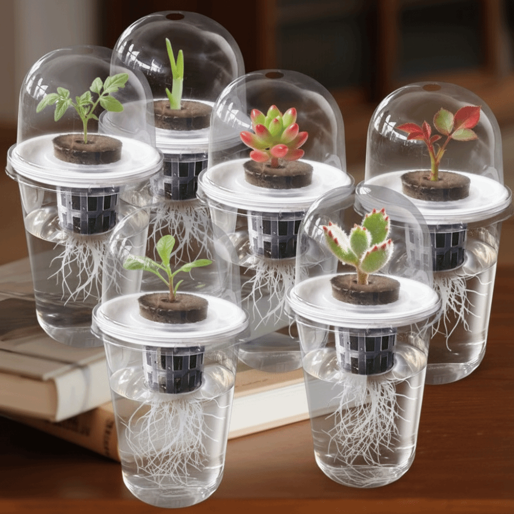 1-5pc Visible Clear Plants Ger - огляд і ціна Seed Starter Tray