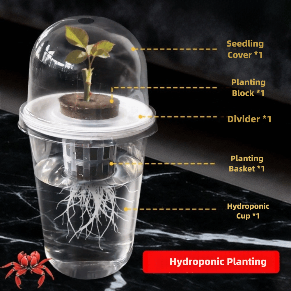 1-5pc Visible Clear Plants Ger - огляд і ціна Seed Starter Tray