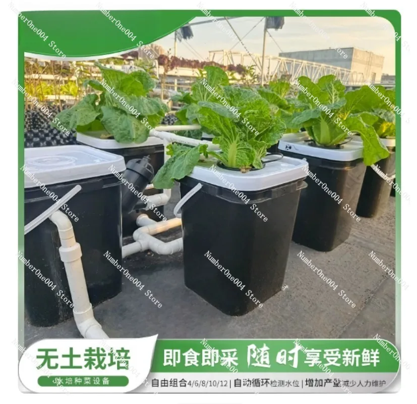 RDWC Home Balcony Hydroponic G - огляд і ціна Hydroponic Kit