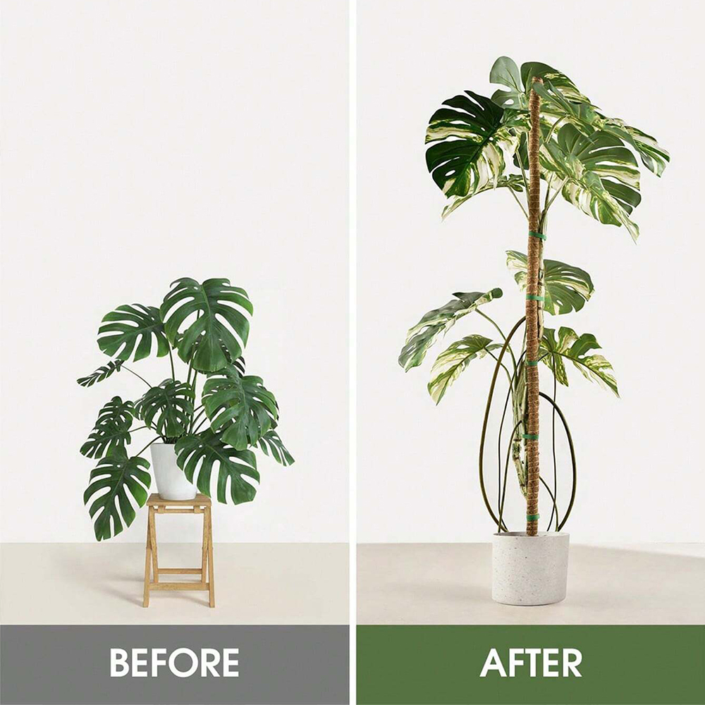 Moss Pole for Plants Monstera  - огляд і ціна Indoor Herb Garden