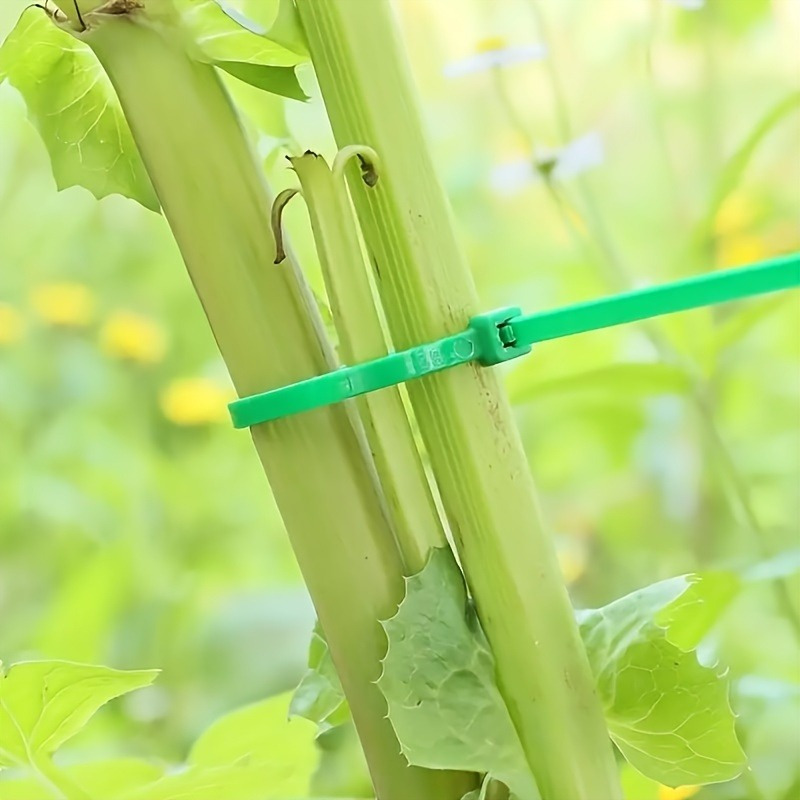 100pcs Garden Cable Tie, Plant - огляд і ціна Plant Pot