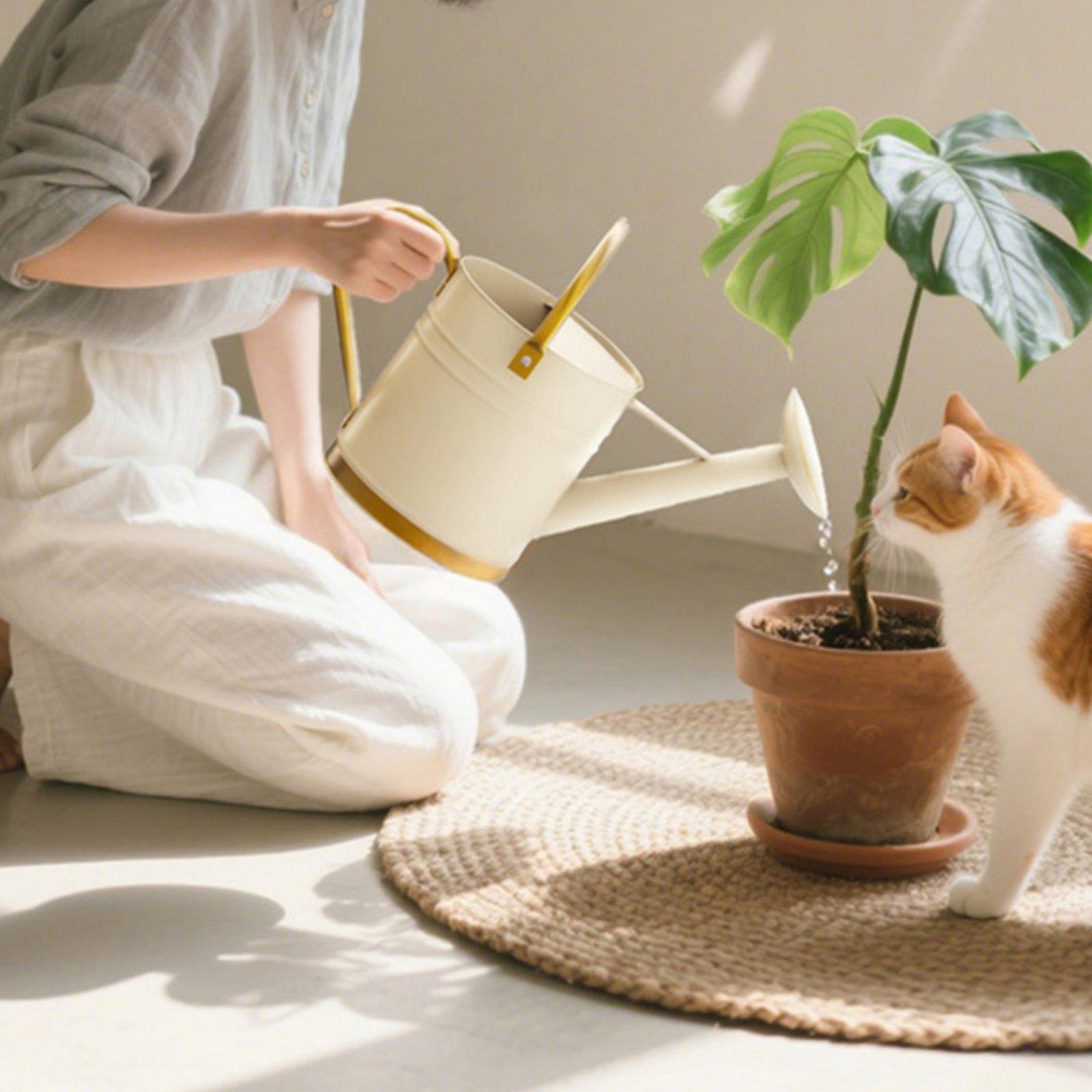 Long Spout Watering Can Leak-P - огляд і ціна Watering Can