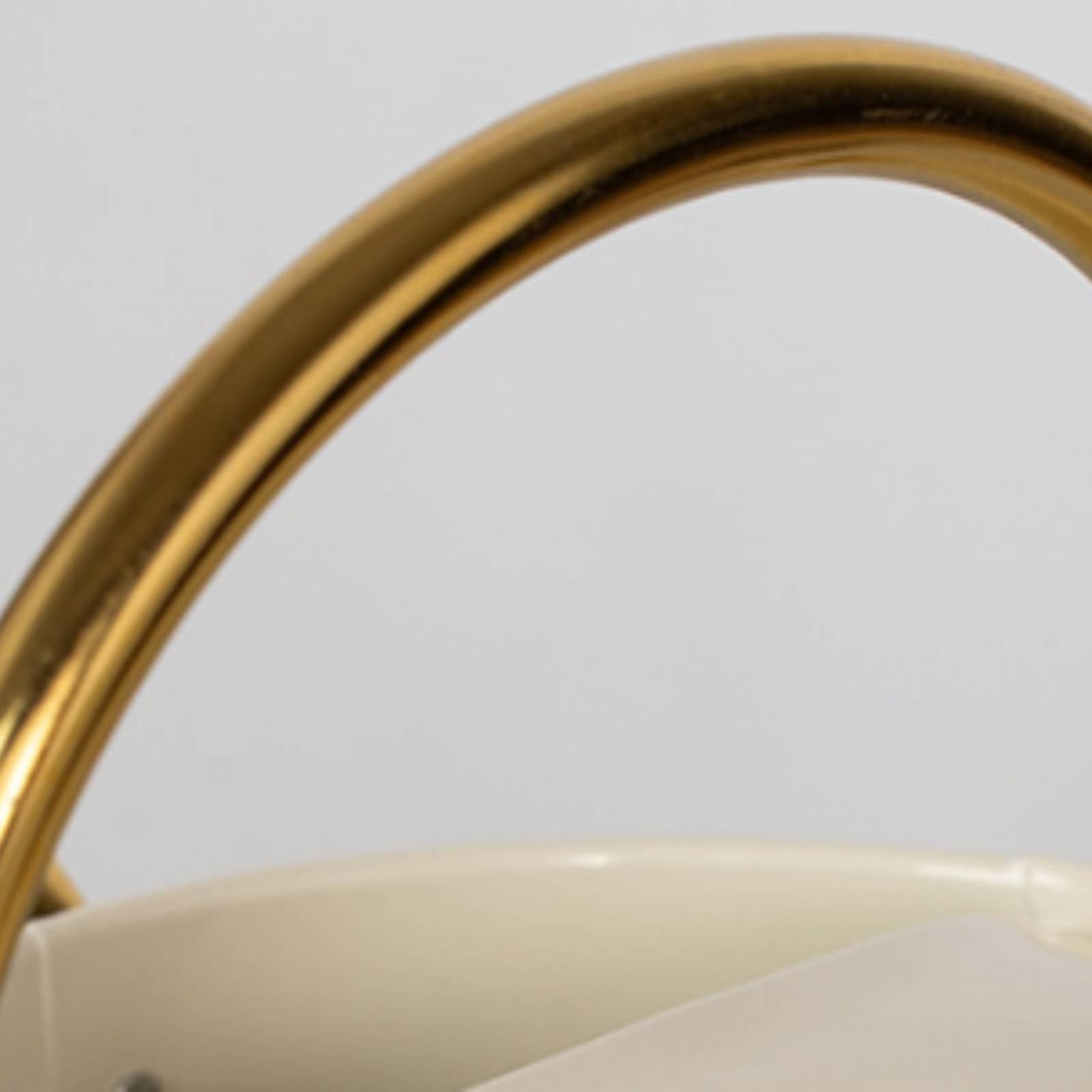 Long Spout Watering Can Leak-P - огляд і ціна Watering Can
