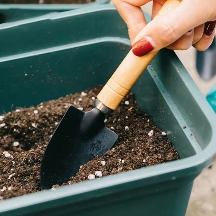 3Pcs/Set Mini Gardening Tools  - огляд і ціна Trowel Garden Tools
